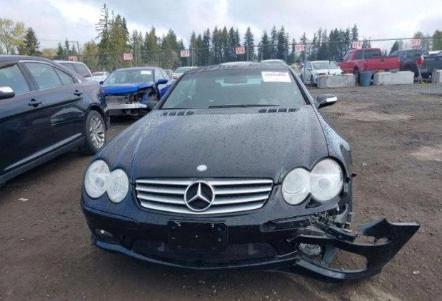 Mercedes-Benz SL cena 69000 przebieg: 91782, rok produkcji 2004 z Karpacz małe 92